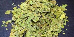 Dried Neem Leaves