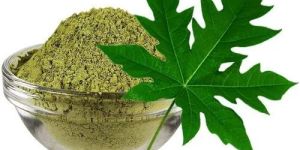 Dried Papaya Leaf Powder