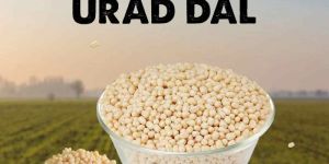 White Urad Dal