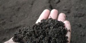 Black Vermicompost Fertilizer