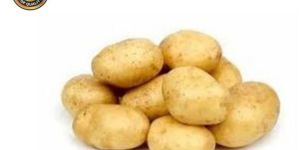 Chipsona Potato