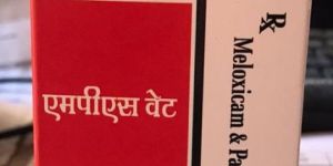 Meloxicam Paracetamol Injection