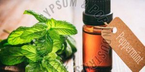 Peppermint Oil BP, EP
