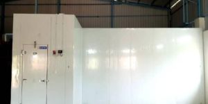 Indoor Saffron Farming Room