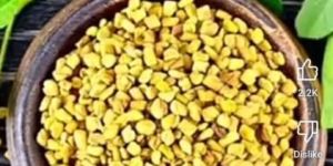 Fenugreek Seeds