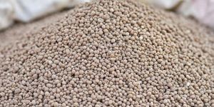 Phosphate Fertilizers