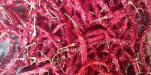 Dry Red Chilli
