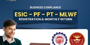 PF ESIC Consultant