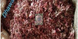 Red Woodfordia Fruticosa Flower