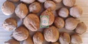 Terminalia Bellirica Nuts