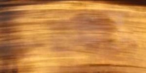 Ligth Brown Buffalo Horn Plate