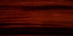 Medium Brown Buffalo Horn Plate