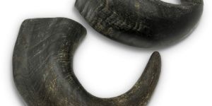 Natural Dried Buffalo Horn Dog Chew