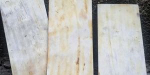 Natural Skin Buffalo Horn Plate