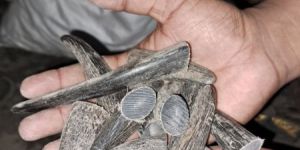 Raw Buffalo Horn Toggles