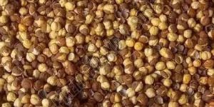 Natural Roasted Chana