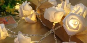White Rose Flower String Fairy LED Lights