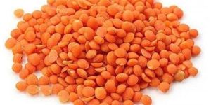 Red Malka Masoor Dal