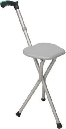 Walking Stick with Seat