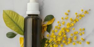 Jasmine Sambac Absolute Oil