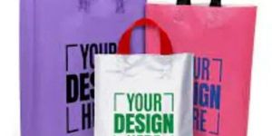 Carry Bag Printing Services