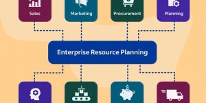 ERP Software Solutions