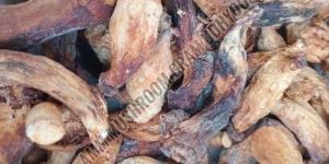 Sun Dried Oyster Mushroom