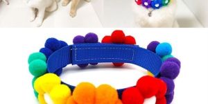 Dog Collars
