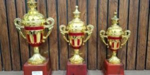 Plastic Fiber Trophy