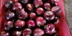 Bangalore Rose Onions