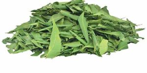 Dried Neem Leave