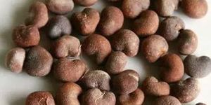 Natural Baobab Seeds