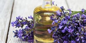 Pure Lavender Oil