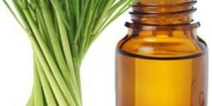 Pure Lemongrass Oil
