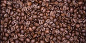 BB Arabica Coffee Beans