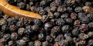 Panniyur Black Pepper Seeds