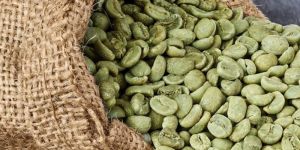 Pl B Arabica Coffee Beans