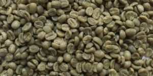 Pl PB Arabica Coffee Beans