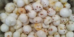 10mm 4 Plus Suta Phool Makhana