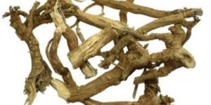 Dried Punarnava Roots