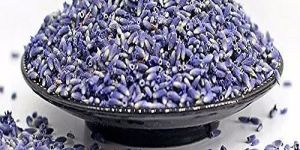 Dry Lavender Flower Buds