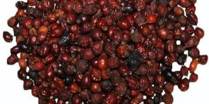 Red Dried Rosehip Fruit