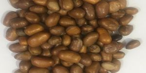 Monodora Myristica Seeds