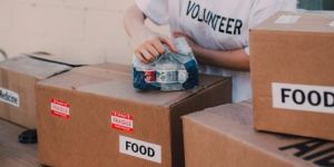 Cargo Transportation Service