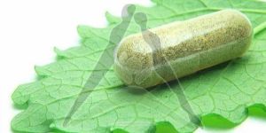 Digest Vinegar Max Capsules