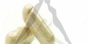 Mens Multivitamin Probiotic Capsule