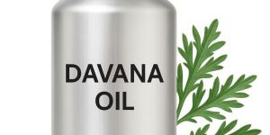 Davana Oil