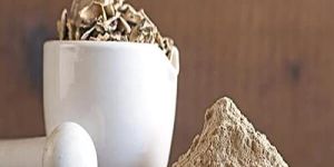 Dried Mushroom Powder