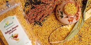 Yellow Jowar