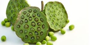 Lotus Seeds
